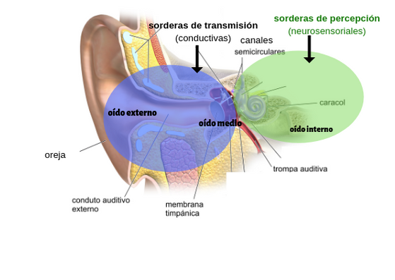 Atlaxis centro de fisioterapia y osteopatia