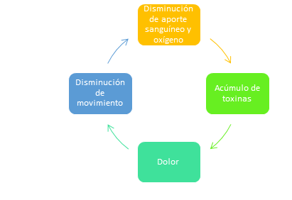 contracturas musculares Atlaxis centro de fisioterapia y osteopatia