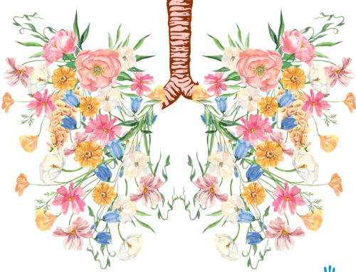 Sistema respiratorio: broncolitis