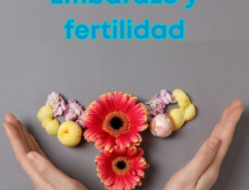 Embarazo y fertilidad