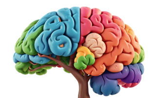 Salud integrativa Atlaxis centro de fisioterapia y osteopatia