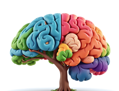 Intestino primer cerebro origen de todo