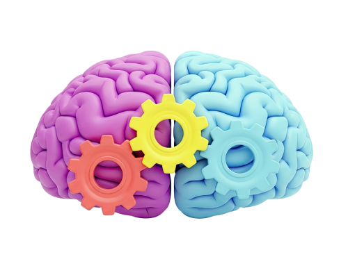 Neuroplasticidad: cómo el cerebro puede reaprender tras una lesión neurológica