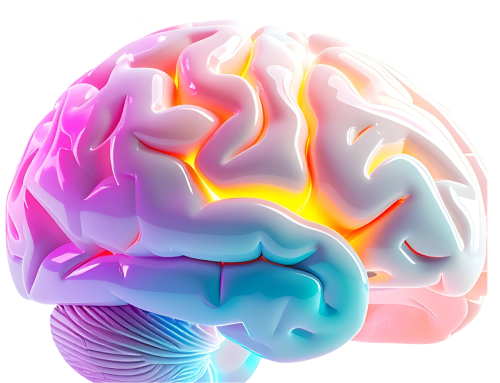 Daño neurológico: recuperación cerebral y neurorrehabilitación