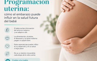 Mujer embarazada durante el desarrollo fetal Atlaxis centro de fisioterapia y osteopatia