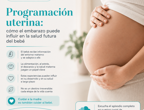 Programación uterina: cómo el embarazo puede influir en la salud futura del bebé